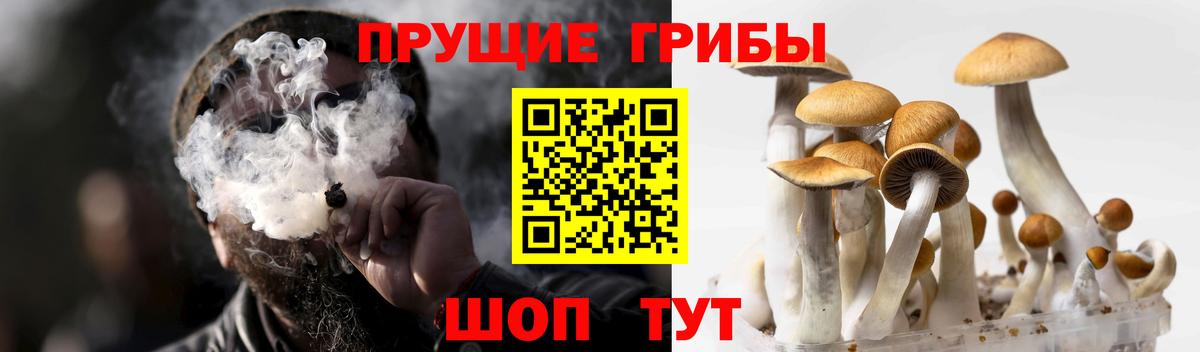 Псилоцибиновые грибы Magic Shrooms  Вход с VPN  Строитель 