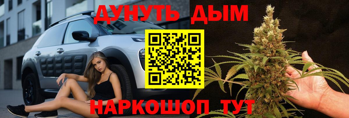Каннабис планчик  Марихуана Amnesia  Вход с VPN  Строитель  МАРИХУАНА Bruce Banner 